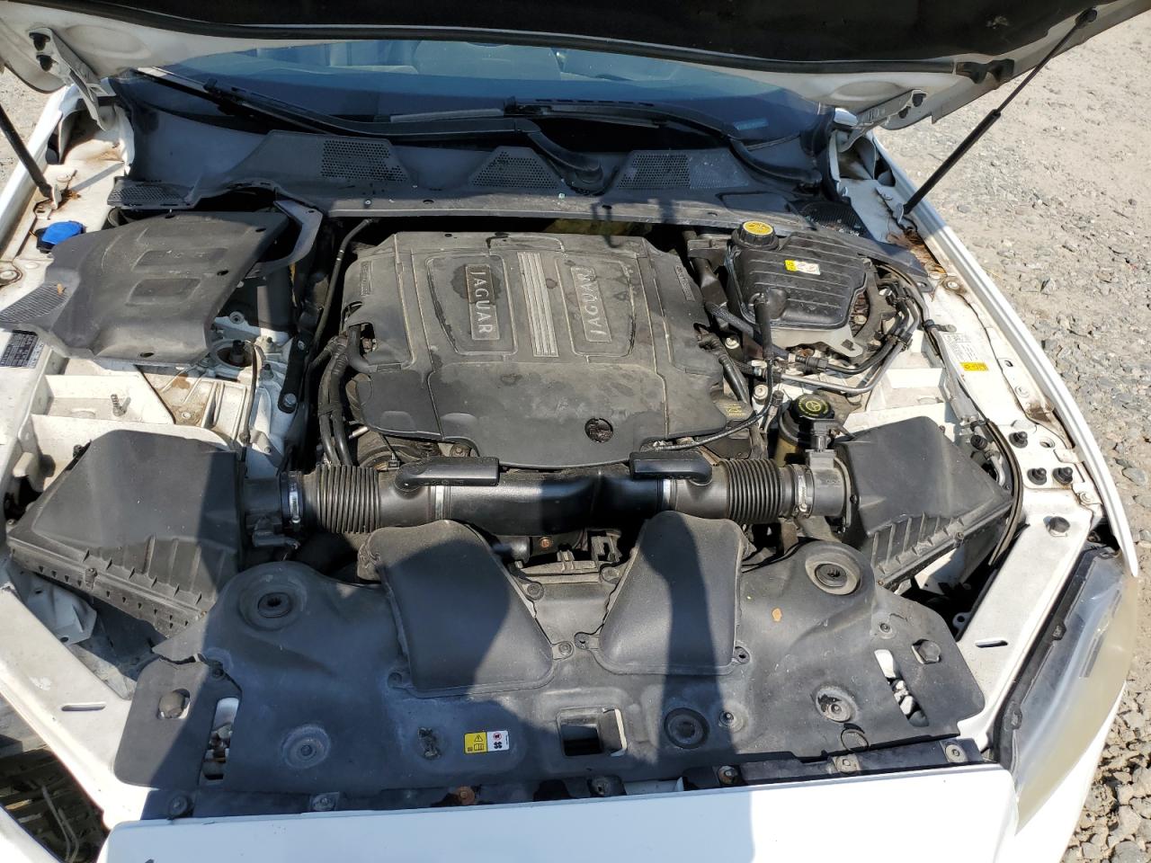 SAJWA1C76D8V43559 2013 Jaguar Xj