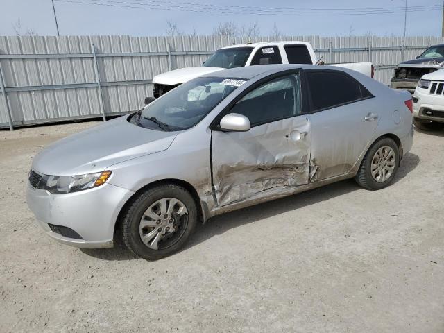 2013 Kia Forte Lx VIN: KNAFT4A29D5647267 Lot: 49677144