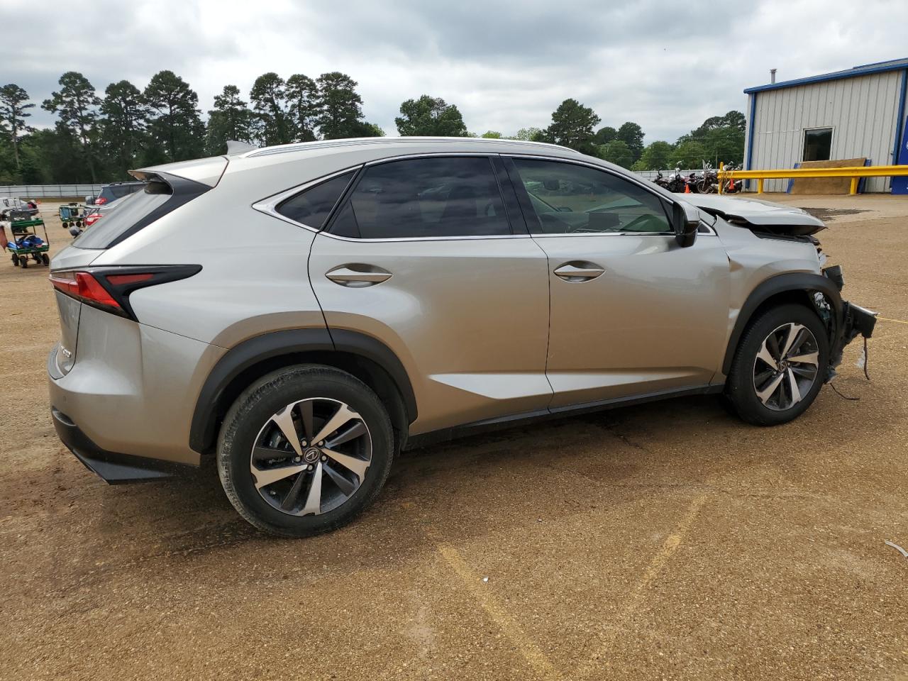 2020 Lexus Nx 300 vin: JTJGARBZ4L2174431