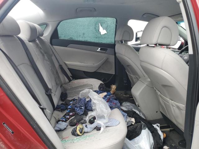 2016 Hyundai Sonata Se VIN: 5NPE24AFXGH386031 Lot: 51460354