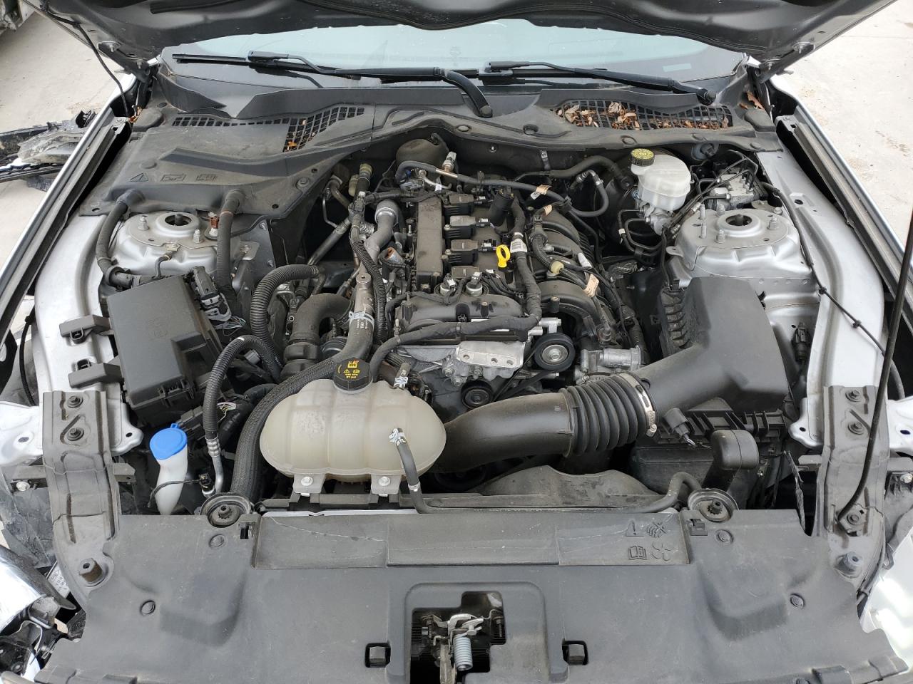 1FA6P8TH1M5115761 FORD ALL Models 2021
