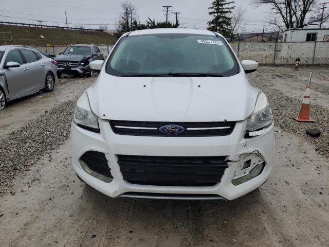 2014 Ford Escape Se VIN: 1FMCU9G9XEUD19539 Lot: 49323714