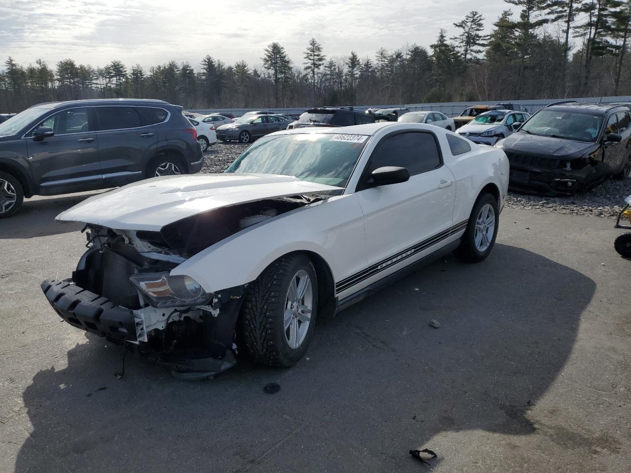 1ZVBP8AM6C5280838 2012 Ford Mustang