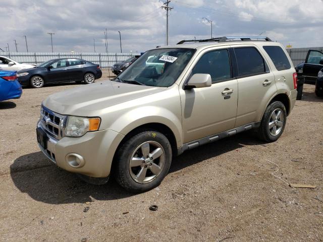 2011 Ford Escape Limited VIN: 1FMCU9EG1BKC04367 Lot: 52754084