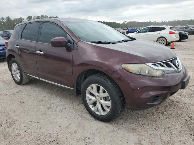 2013 Nissan Murano S VIN: JN8AZ1MU8DW210656 Lot: 51205344