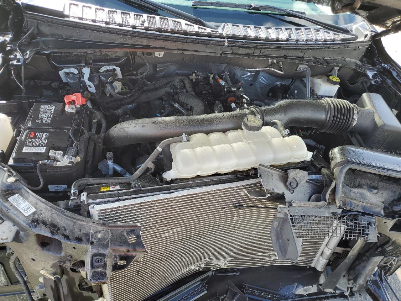 1FMJU1K87PEA06551 FORD EXPEDITION 2023