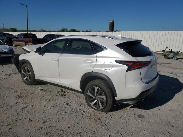 2020 LEXUS NX 300 JTJGARBZ1L5004820