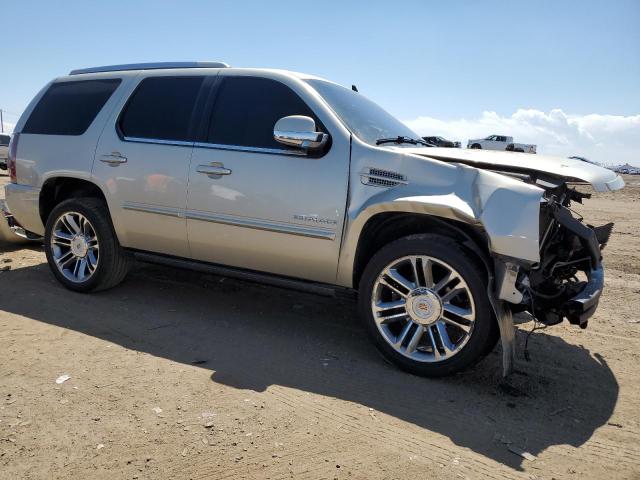 1GYS4CEF7DR145883 2013 Cadillac Escalade Premium