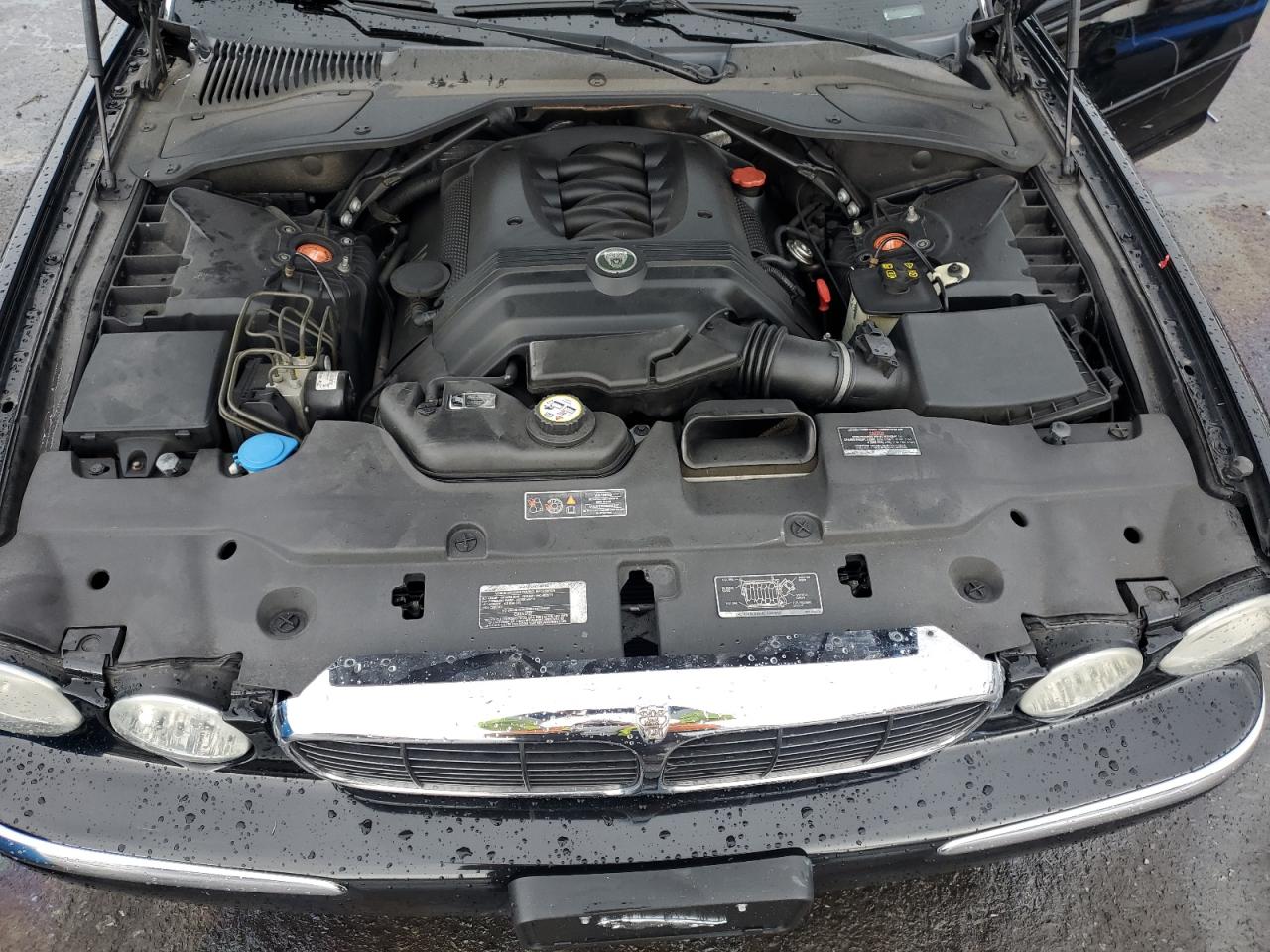 SAJEA71C74SG00971 2004 Jaguar Xj8