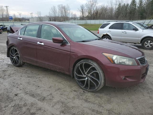 2008 Honda Accord Ex VIN: 1HGCP36728A033975 Lot: 50279414