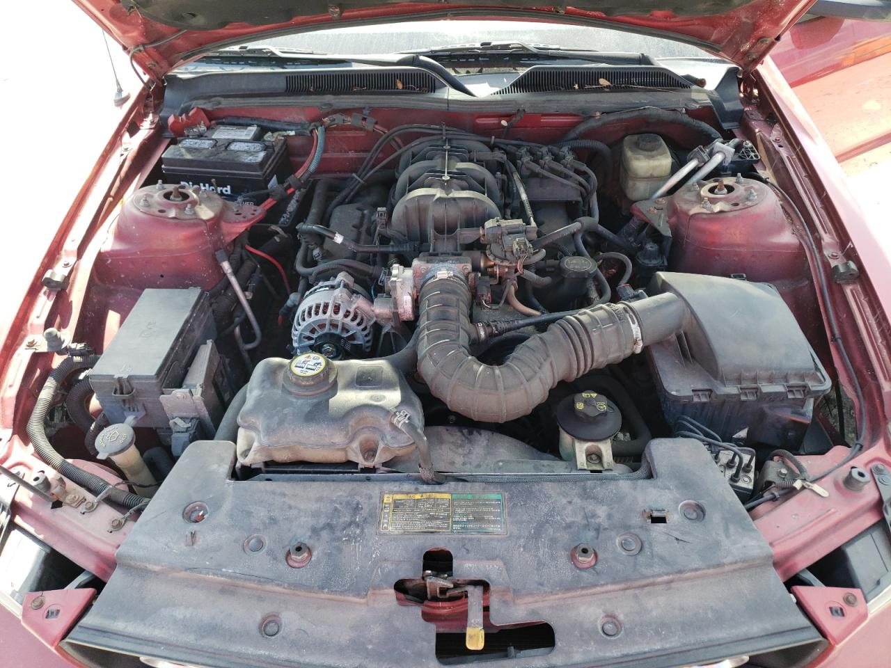 1ZVFT80N365162192 2006 Ford Mustang