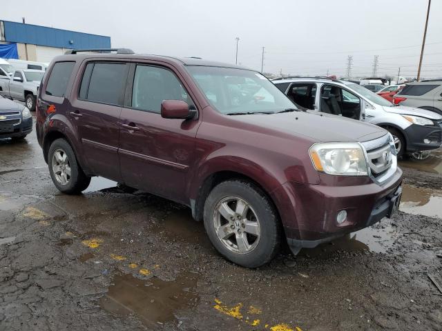 2010 Honda Pilot Exl VIN: 5FNYF4H50AB026450 Lot: 50199494