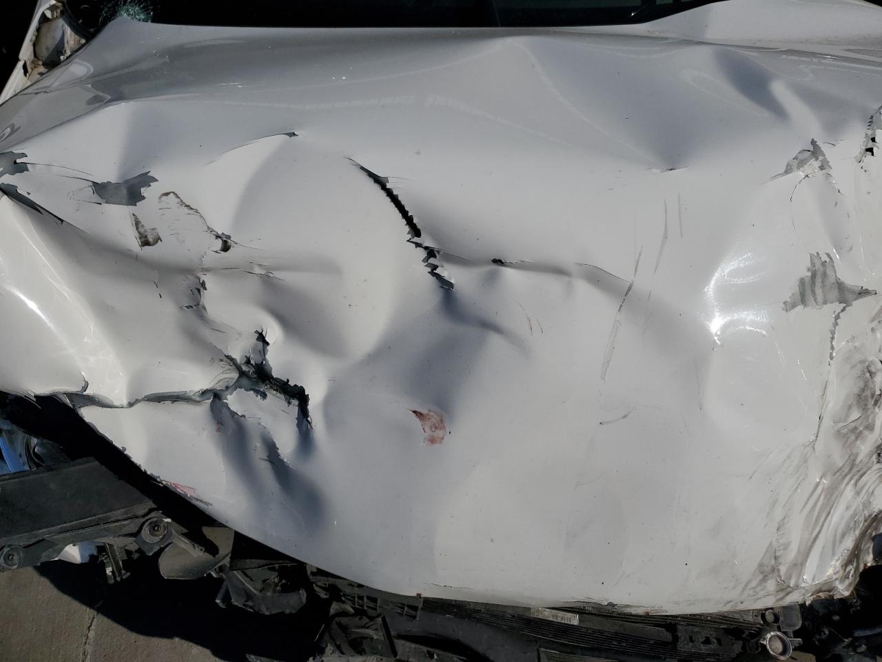 WVWJK73CX9P024727 2009 Volkswagen Passat Turbo