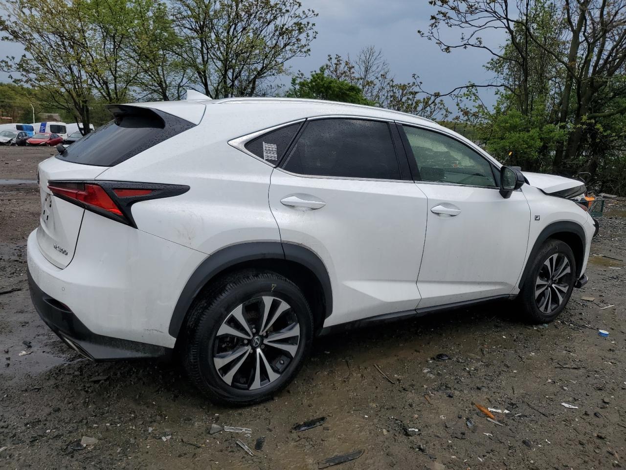 JTJSARDZ7M5023414 2021 Lexus Nx 300 Base