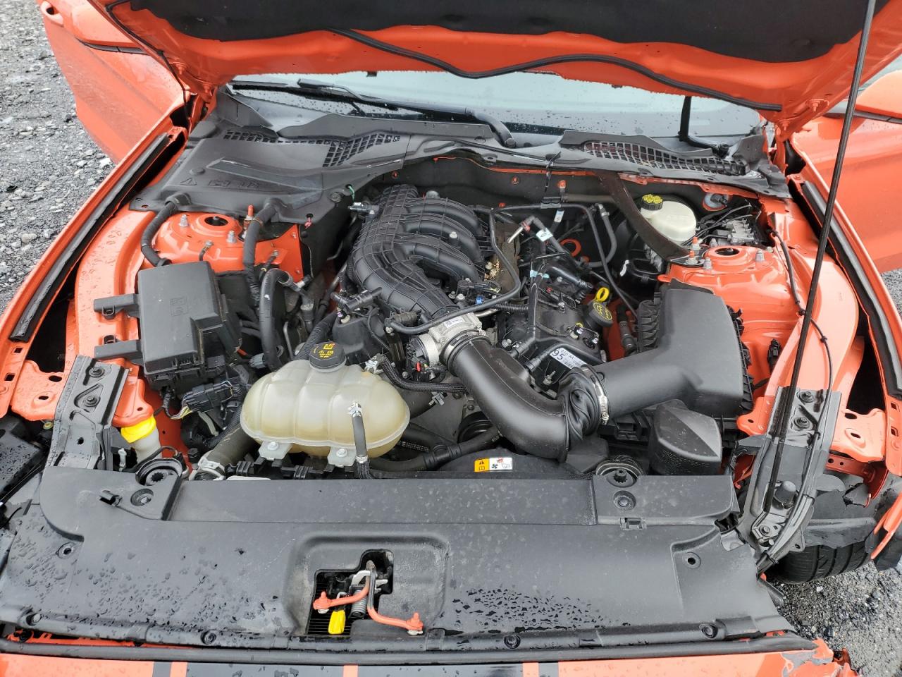 1FATP8EM7G5265682 FORD ALL Models 2016