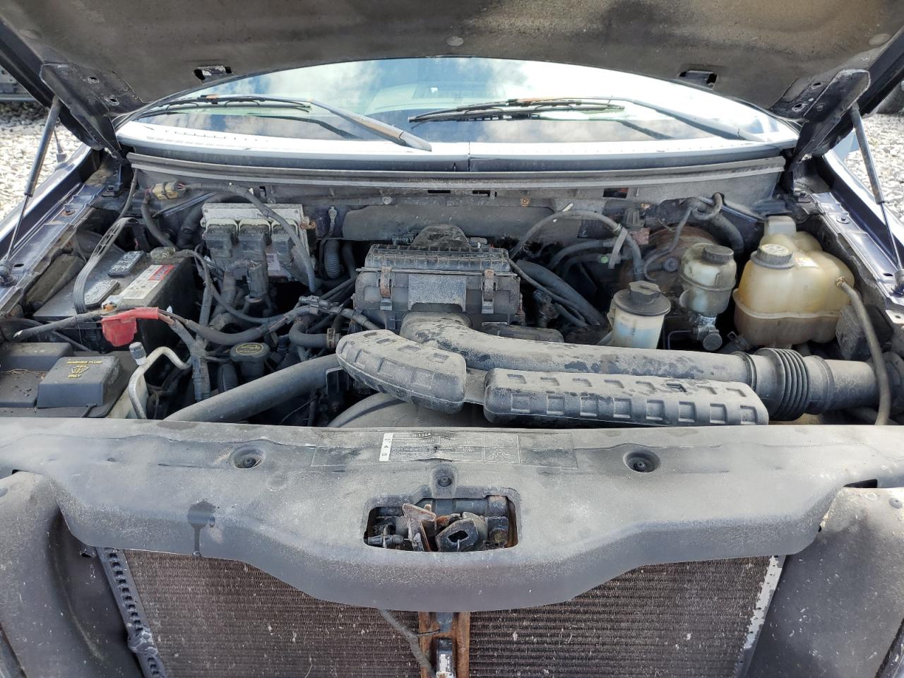 1FTPX14555NB03446 2005 Ford F150