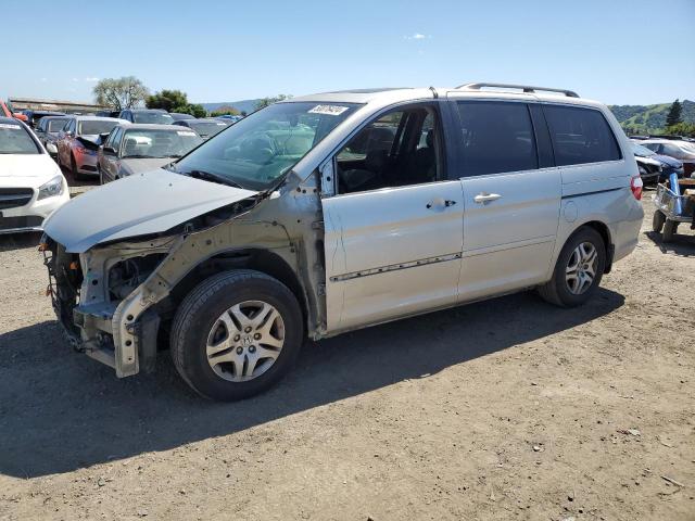 2005 Honda Odyssey Exl VIN: 5FNRL38765B104793 Lot: 50076424