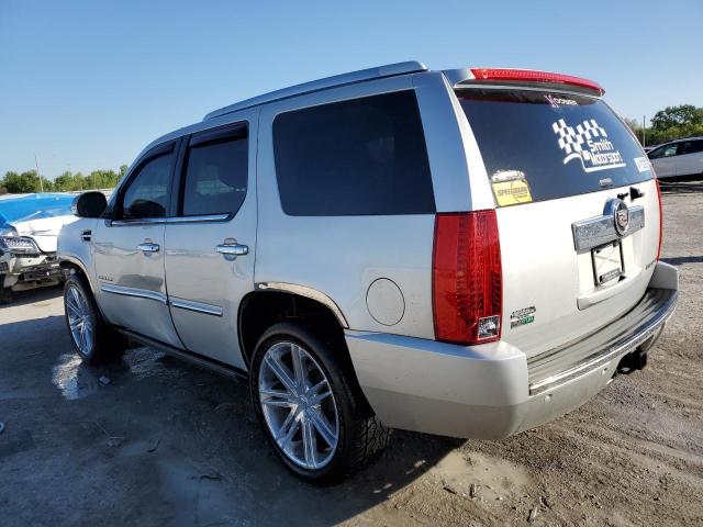 2010 Cadillac Escalade Premium VIN: 1GYUKCEF5AR281956 Lot: 51438814