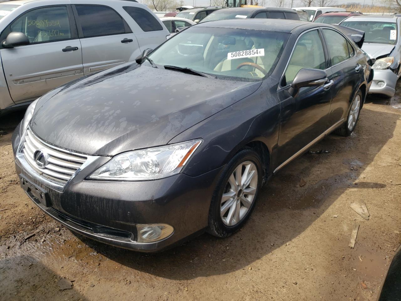 JTHBK1EG7A2353256 2010 Lexus Es 350