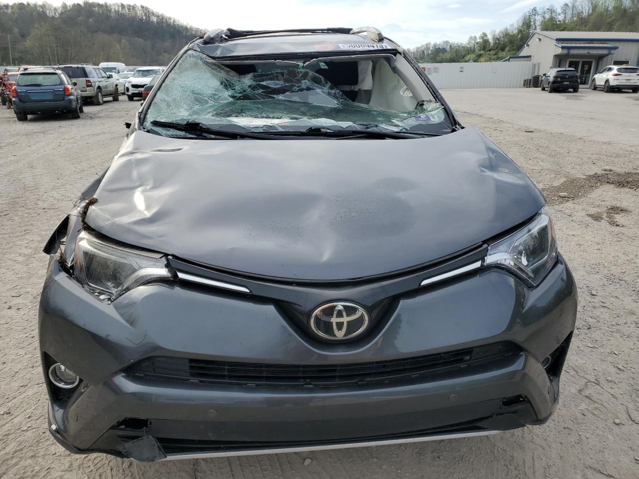 JTMRFREV9HD212981 2017 Toyota Rav4 Xle