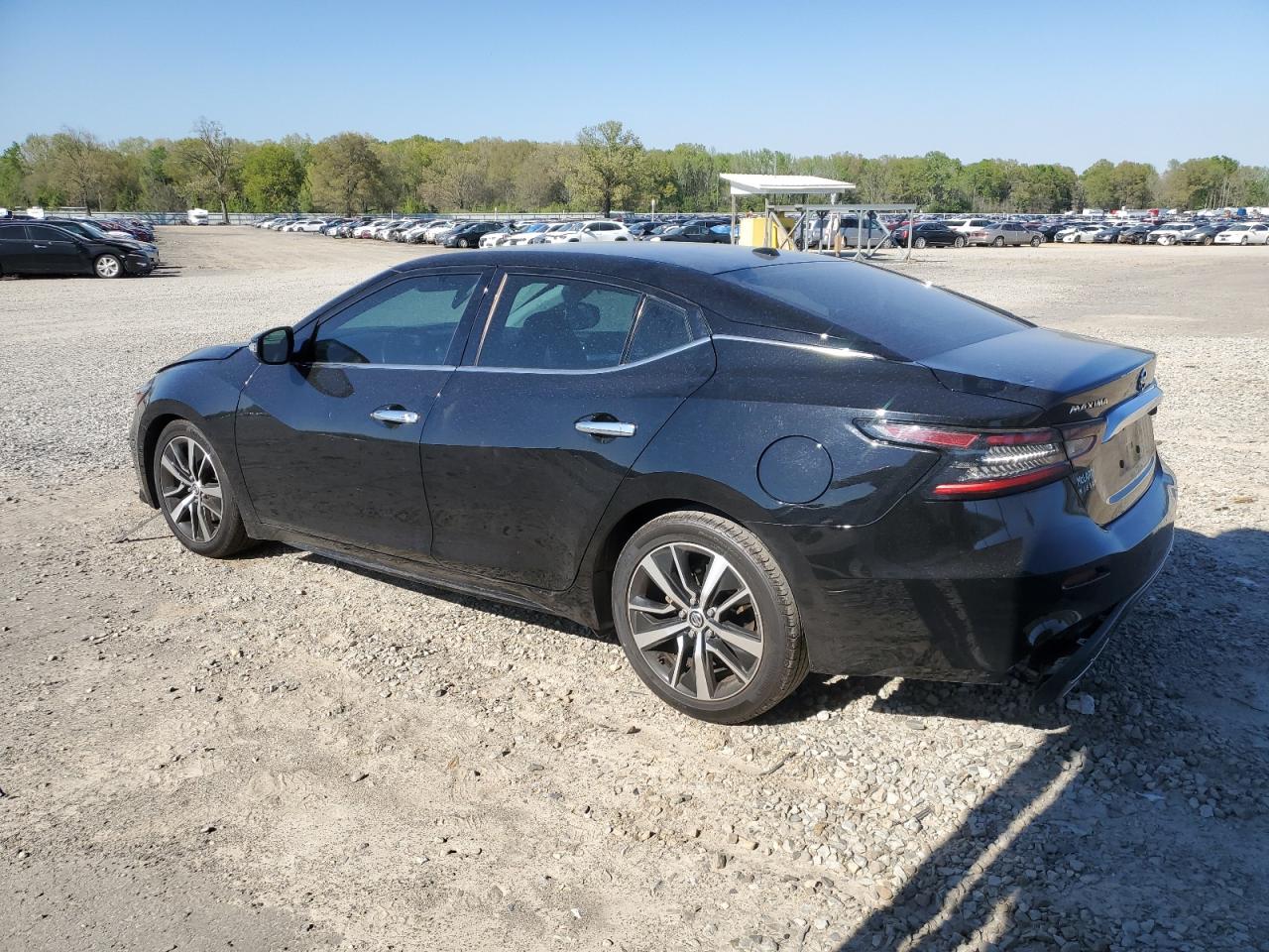 2022 Nissan Maxima Sv vin: 1N4AA6CV3NC504128