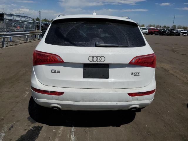 2011 Audi Q5 Premium Plus VIN: WA1LFAFP4BA106769 Lot: 52328544