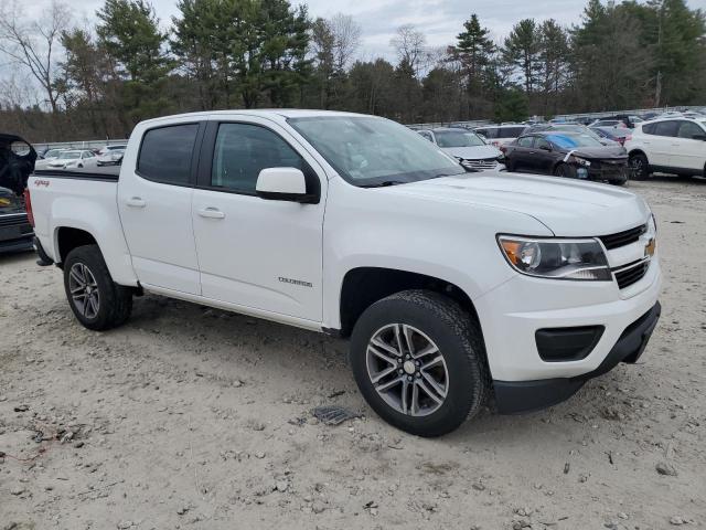 2019 Chevrolet Colorado VIN: 1GCGTBEN5K1129290 Lot: 48407424