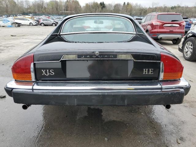 1983 Jaguar Xjs VIN: SAJNV5849DC111065 Lot: 51325844