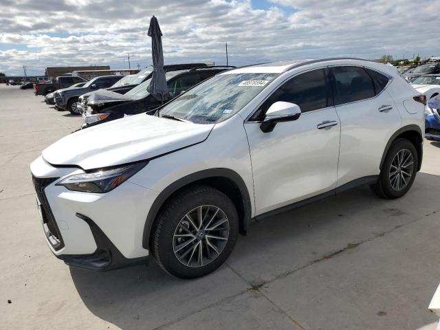 VIN JTJGGCEZXR5007067 2024 LEXUS NX 350 PRE no.1