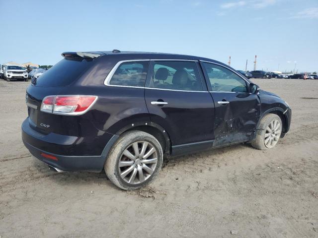 2009 Mazda Cx-9 VIN: JM3TB38VX90169018 Lot: 53019184