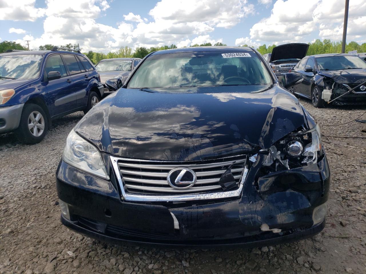 Lot #2741573355 2011 LEXUS ES 350