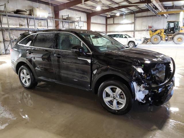 2023 Kia Sorento Lx VIN: 5XYRGDLC6PG203561 Lot: 51536084