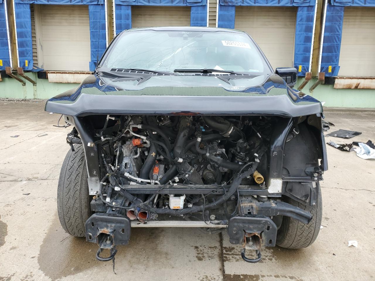 1FTFW1ED1MFB61289 FORD F-150 2021