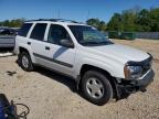 Lot #2769153670 2003 CHEVROLET TRAILBLAZE