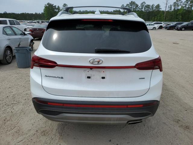 2023 Hyundai Santa Fe Sel VIN: 5NMS2DAJ5PH489071 Lot: 51225254