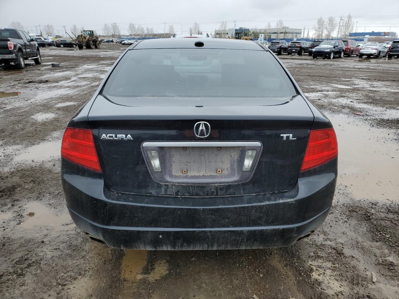 19UUA66246A071880 2006 Acura 3.2Tl