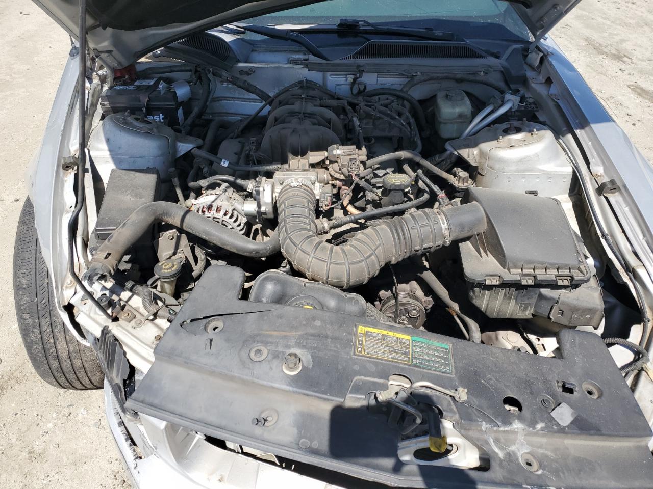 1ZVFT80N565131560 2006 Ford Mustang