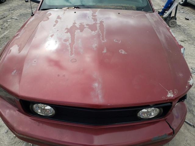 Lot #2461577341 2005 FORD MUSTANG salvage car