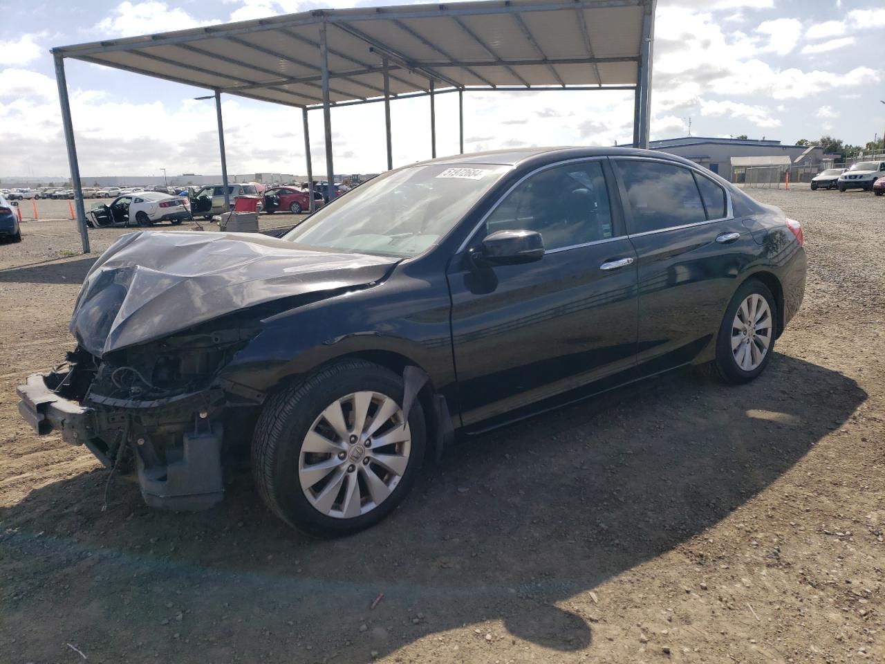 1HGCR2F84DA070971 2013 Honda Accord Exl