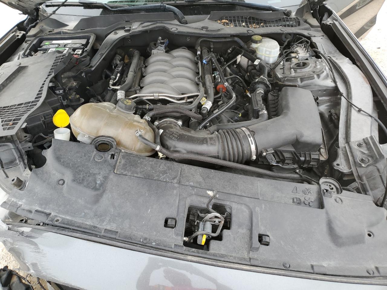 1FA6P8CF1K5168374 2019 Ford Mustang Gt