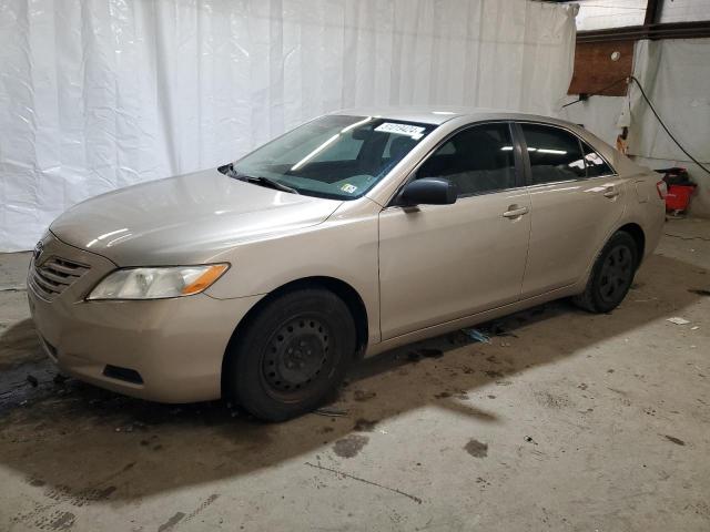 Lot #2494049327 2009 TOYOTA CAMRY BASE salvage car