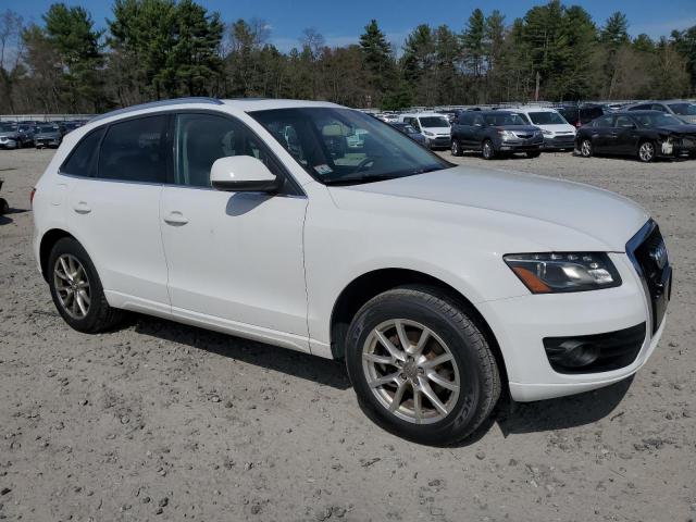 2010 Audi Q5 Premium Plus VIN: WA1LKAFP6AA027226 Lot: 51136884