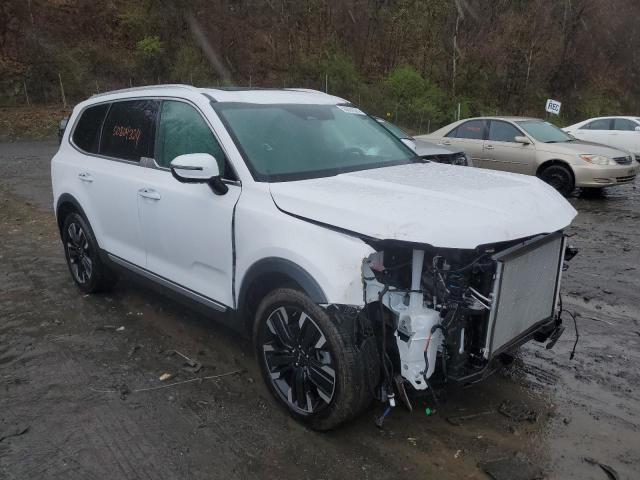 2024 Kia Telluride Sx VIN: 5XYP5DGC5RG461323 Lot: 50804324