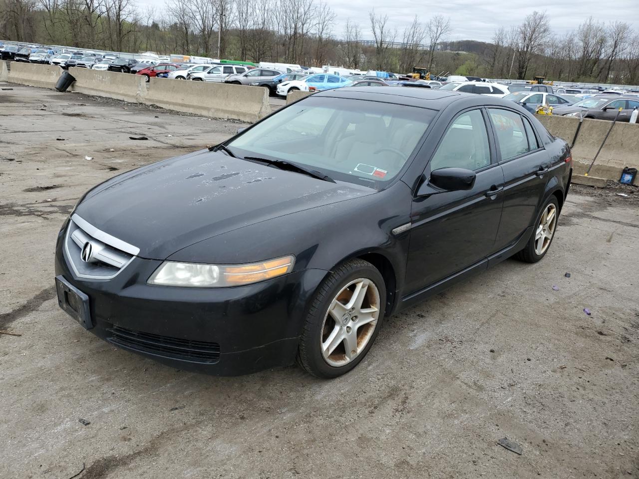 19UUA66206A076008 2006 Acura 3.2Tl