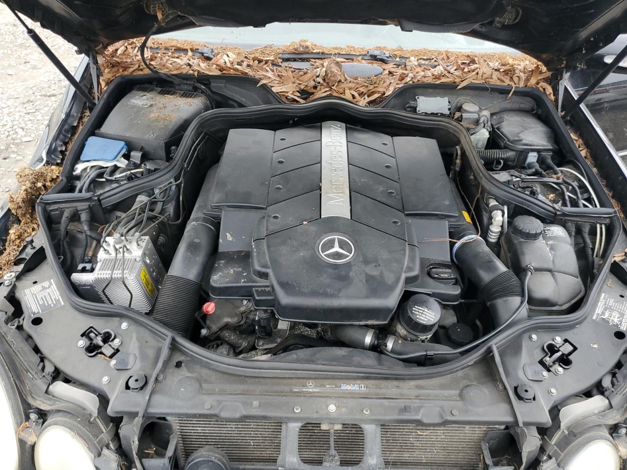 WDBUF83J95X168512 2005 Mercedes-Benz E 500 4Matic