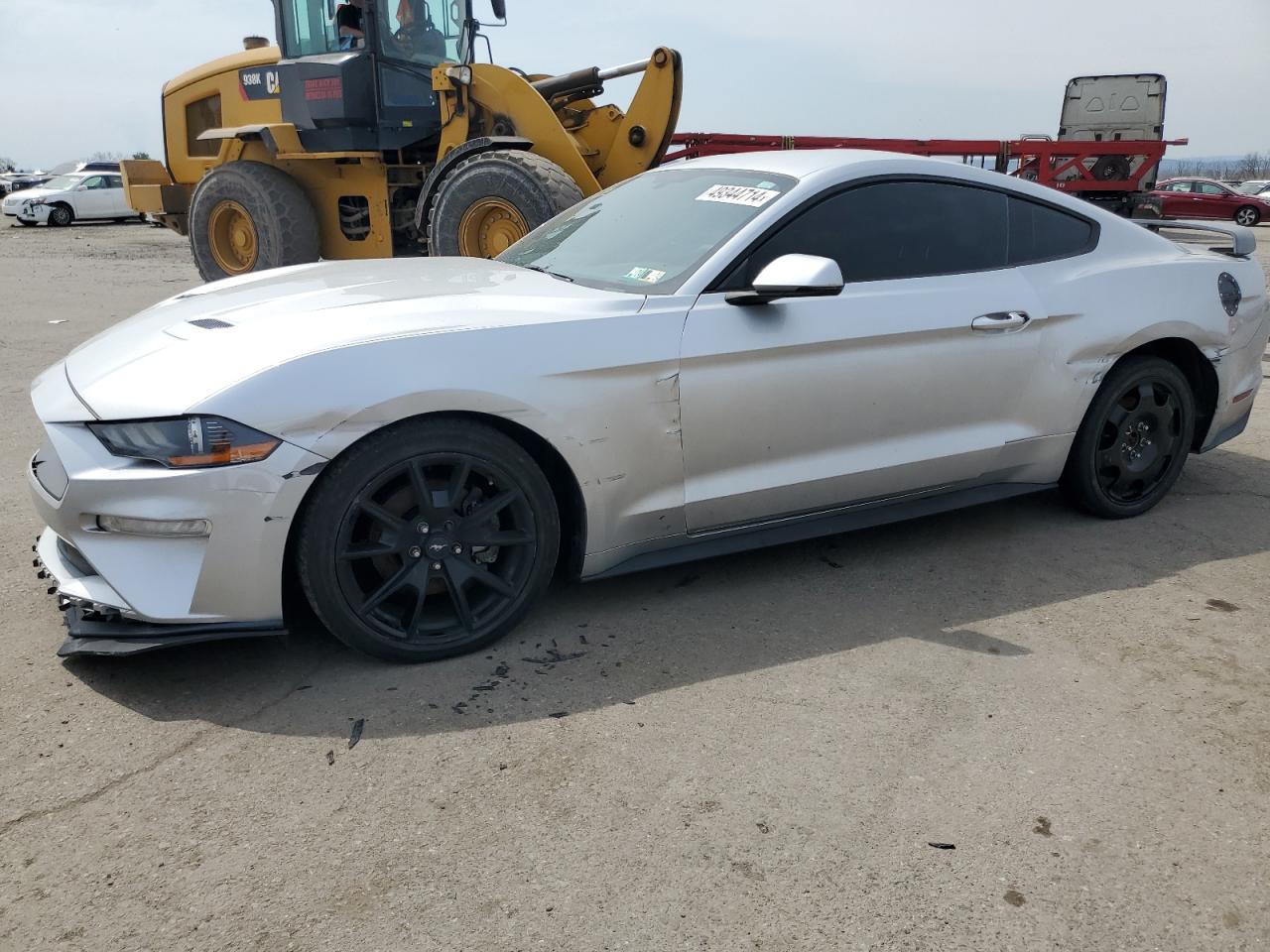 1FA6P8TH1K5151236 FORD ALL Models 2019