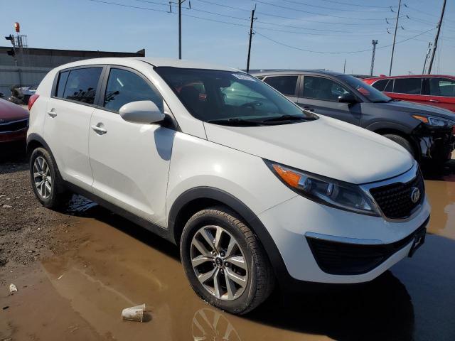 2016 Kia Sportage Lx VIN: KNDPB3AC5G7815833 Lot: 50576574