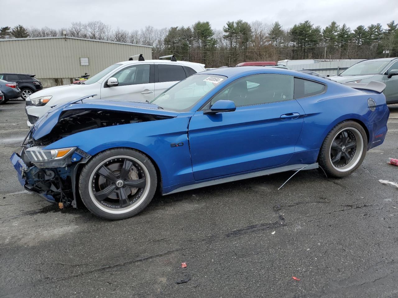 2017 Ford Mustang Gt vin: 1FA6P8CF6H5246513