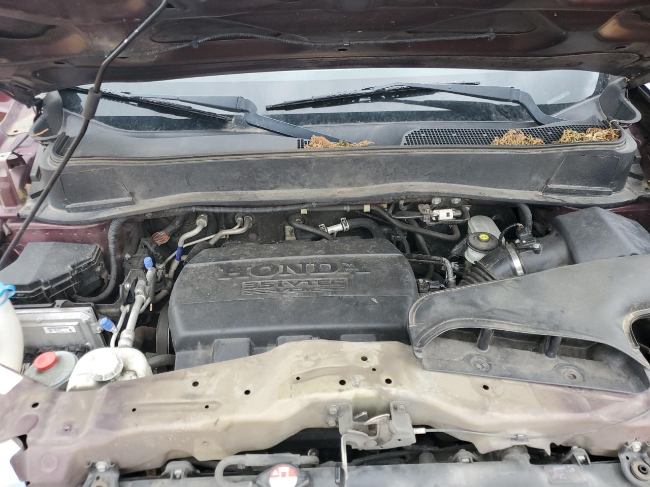 5FNYF3H52EB018088 2014 Honda Pilot Exl