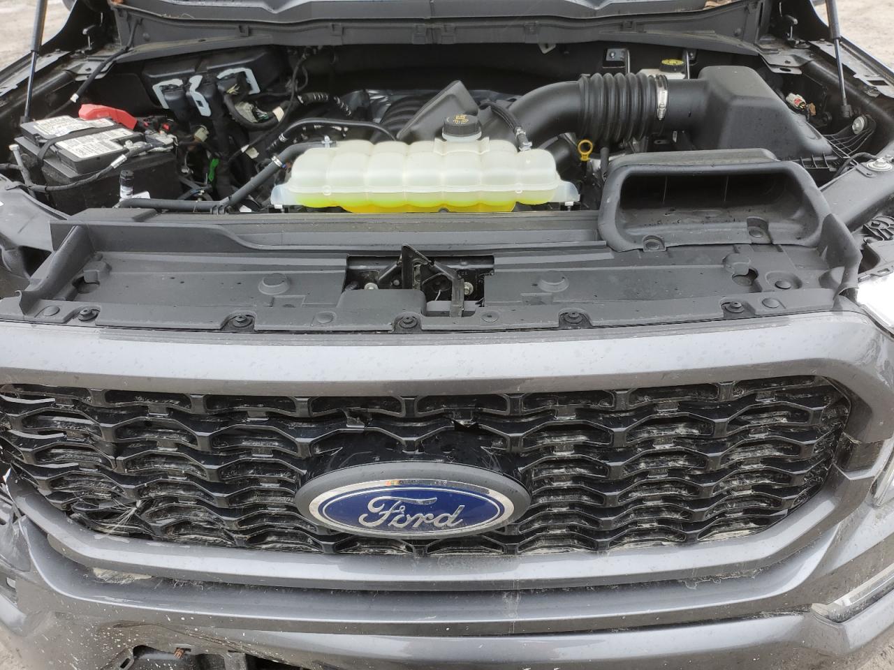 1FTFW1E59MFC90874 FORD F-150 2021
